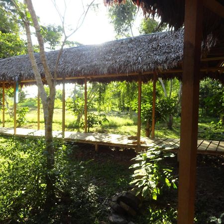 Sotupa Eco House Hostel Πουέρτο Μαλντονάντο Εξωτερικό φωτογραφία